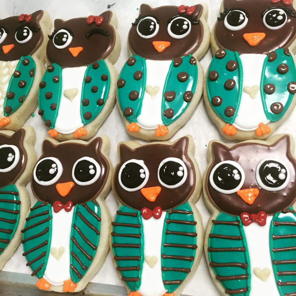 Turquoise and brown Slender Owls