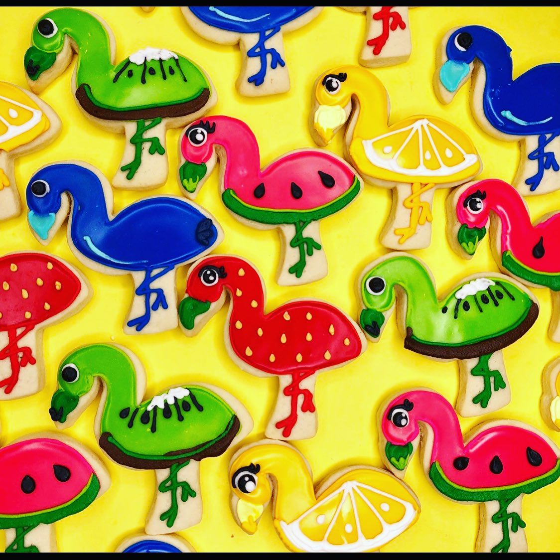 fruitmingo cookies