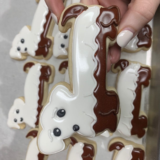 HalloWEENIE dog cookies