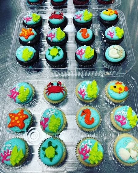 Under the sea mini cupcakes