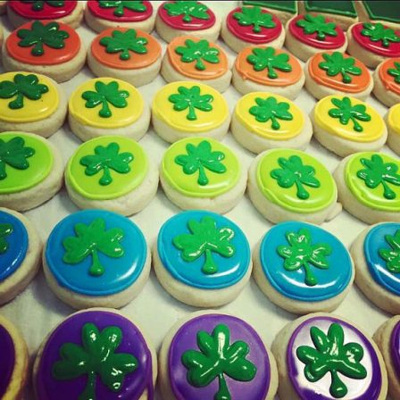 xsmall mini rainbow clover 6 pack