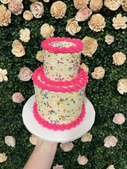 Sprinkle Party Cake
