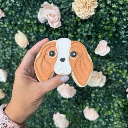 King charles spaniel dog cookie