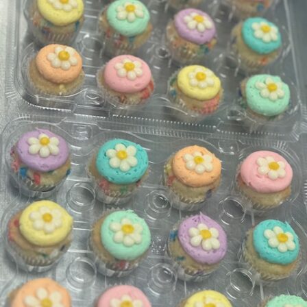 pastel daisy mini cupcakes (set of 12)