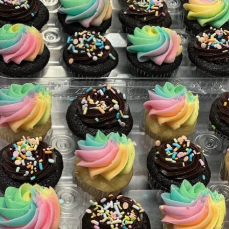 mini cupcake fun pack of 12