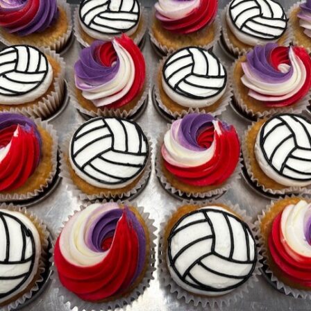 Volleyball Team Cupcakes