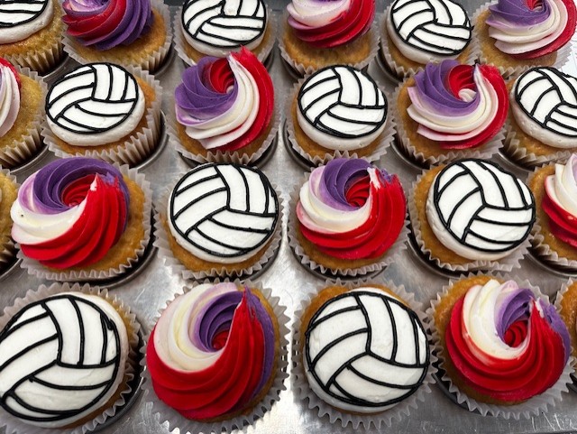 Volleyball Team Cupcakes
