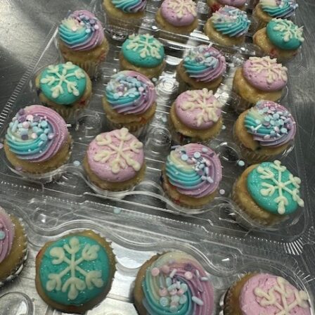 mini frozen cupcakes
