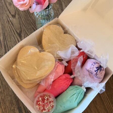 Valentines heart cookie decorating kit