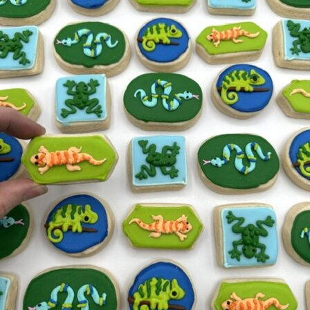 Mini reptile cookie set of 36